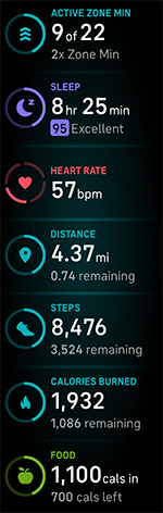 Fitbit Today stats screen